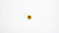 20W Focusing Lens Assembly