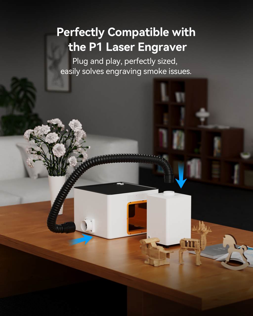 AtomStack D5 Mini Air Purifier for P1